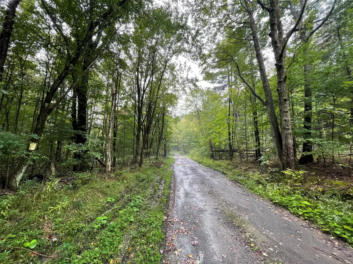 00 Glendenning, Coventry, NY 13778 - #1
