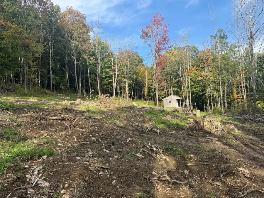 44 & 48 Gaf Lake Road, Windsor, NY 13865 - #2