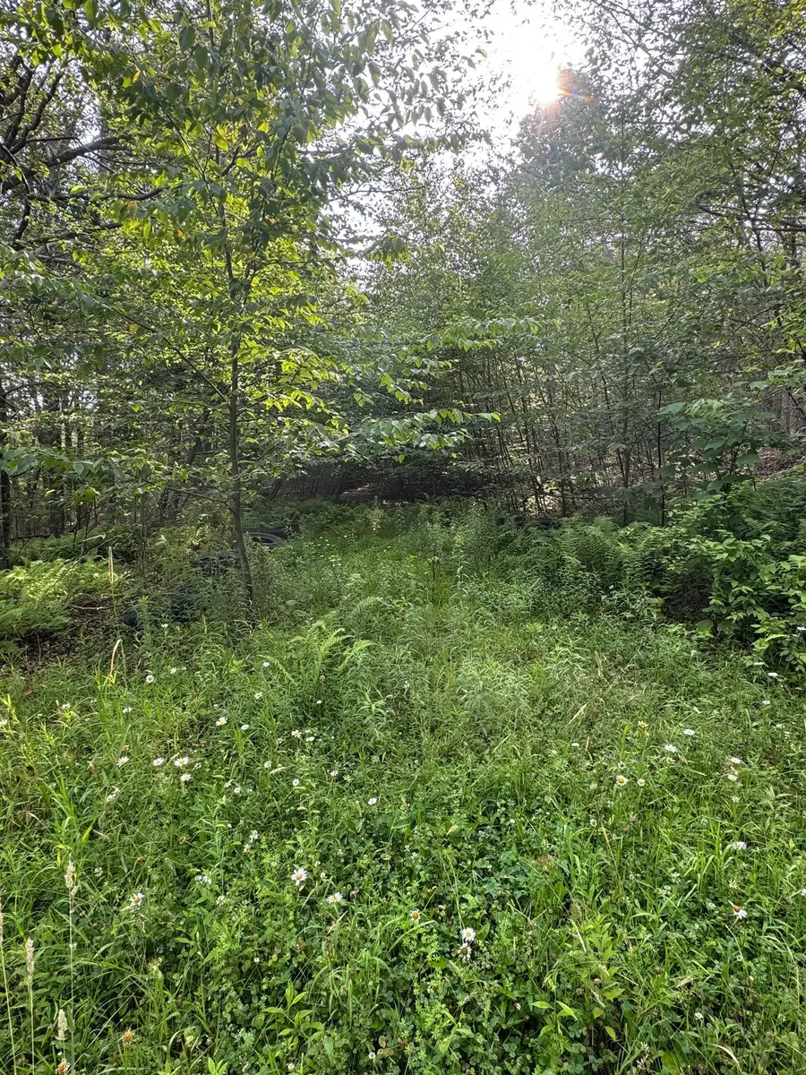 264 E Bosket Road, Windsor, NY 13865 - #2