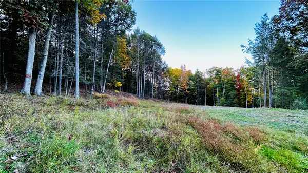 134 Red Fox Run Road, Vestal, NY 13850