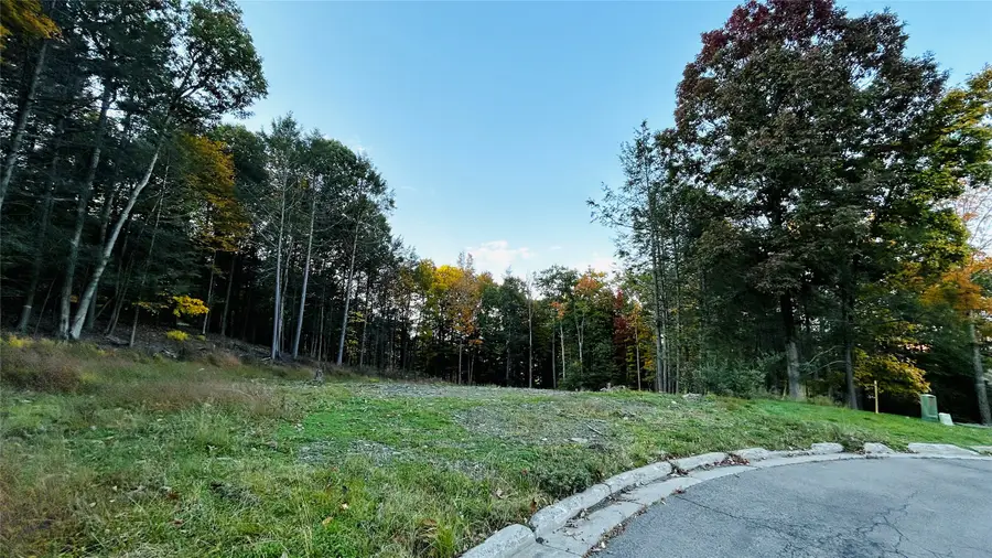 134 Red Fox Run Road, Vestal, NY 13850 - #3