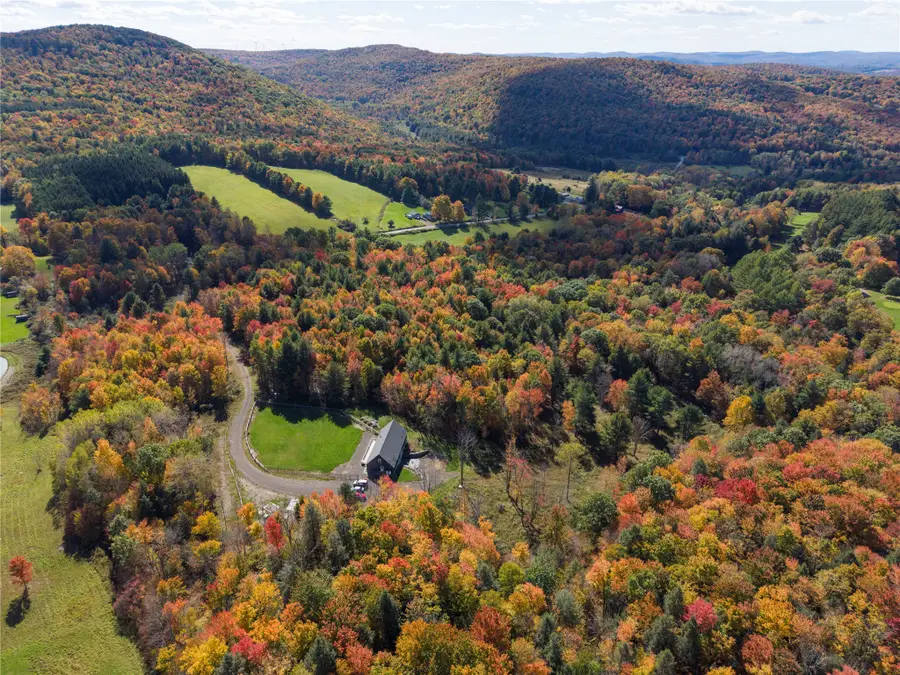 125 Hawkins Rd, Nineveh, NY 13813 - #3