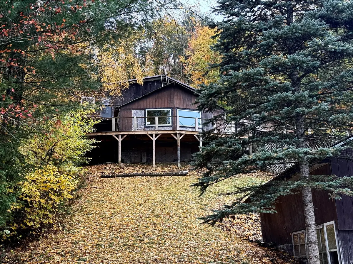 189 White Birch Lake Road, Windsor, NY 13865 - #1