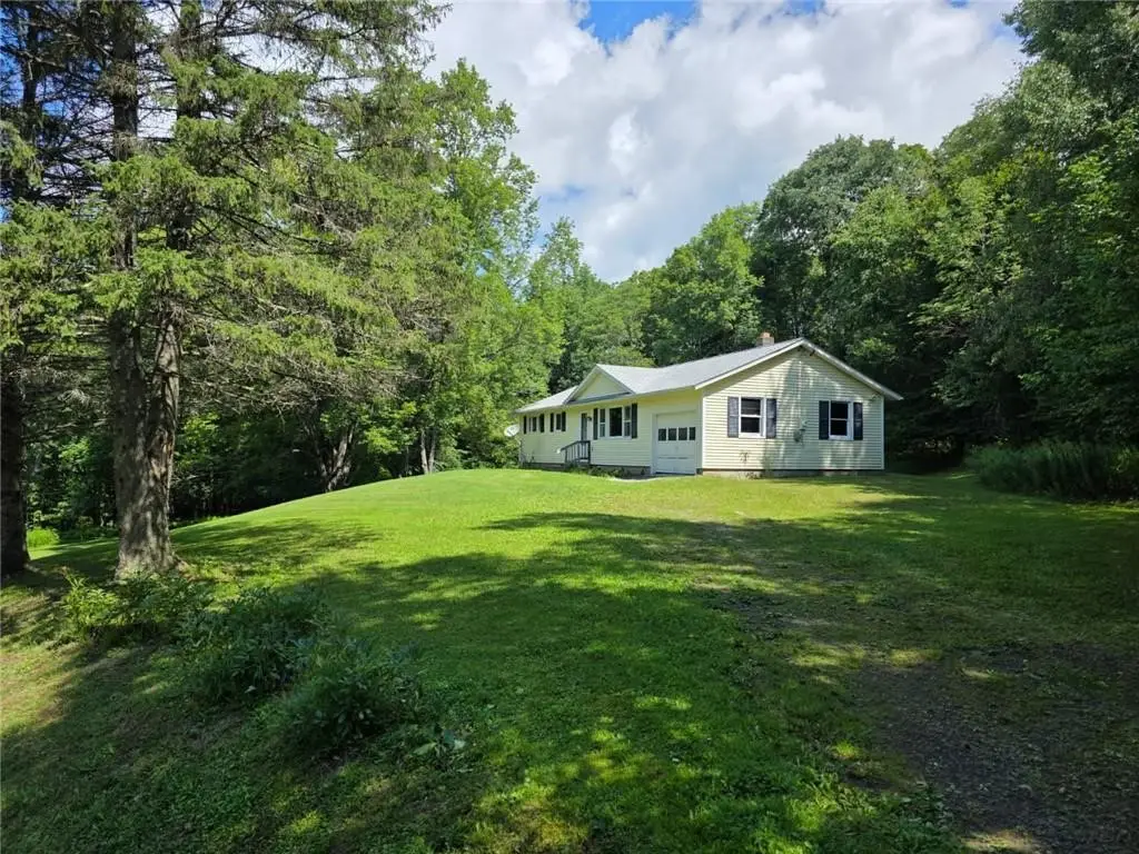 187 Franskevicz Road, Hancock, NY 13783 - #1