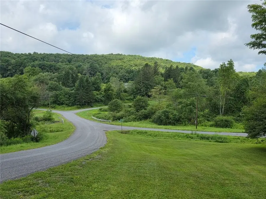187 Franskevicz Road, Hancock, NY 13783 - #3