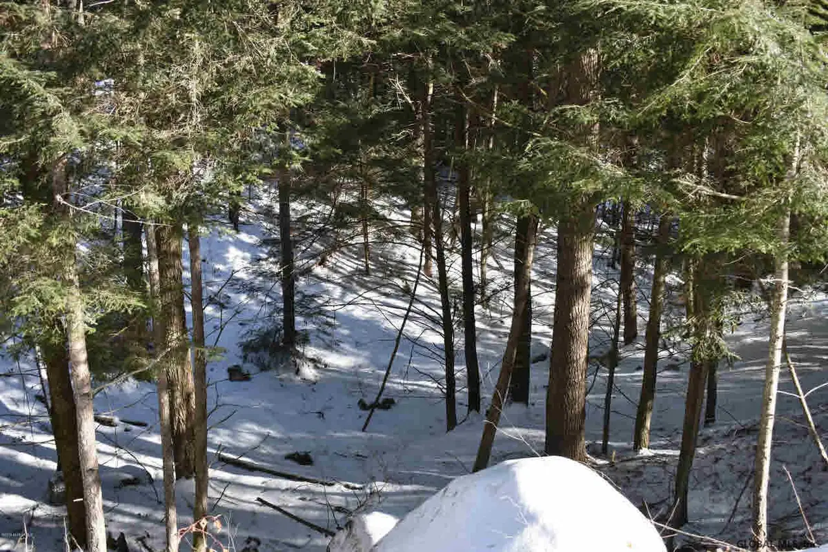 13 Carriage Road, Chester, NY 12817 - Image #1