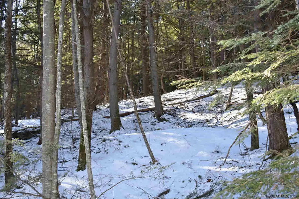 20 Carriage Road, Chester, NY 12817 - Image #1