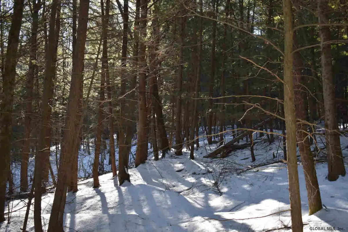 22 Carriage Road, Chester, NY 12817 - Image #1