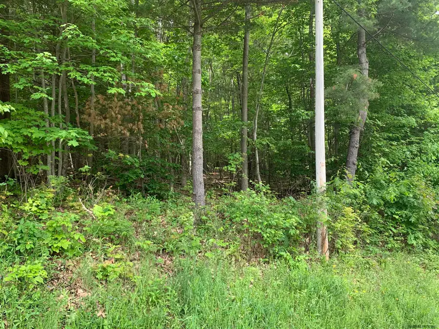 L4 County Rte 5, Canaan, NY 12029 - Image #2