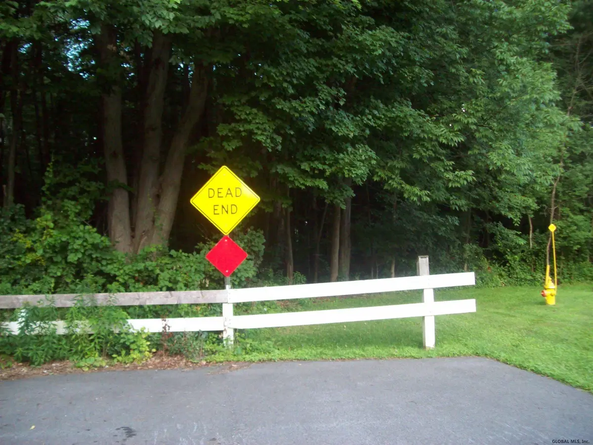 234 (parcel 2) Bender Lane, Bethlehem, NY 12077 - Image #1