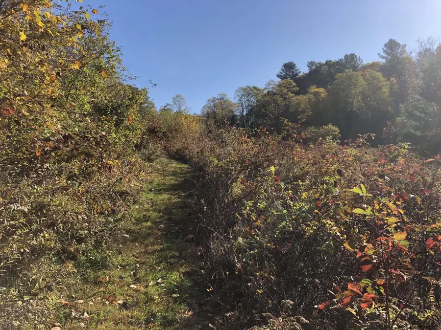 Cole Lane, Brunswick, NY 12180 - Image #3