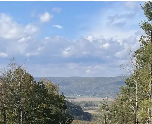 000 Huntersland Road, Middleburgh, NY 12122