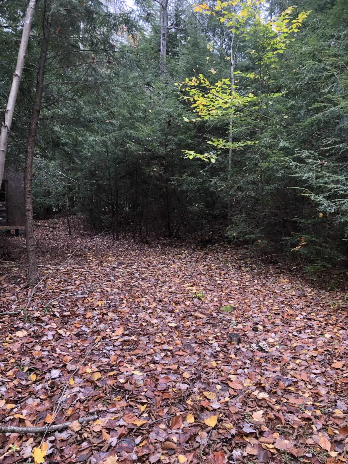 1558 Viele Pond Road, Warrensburg, NY 12885 - Image #1