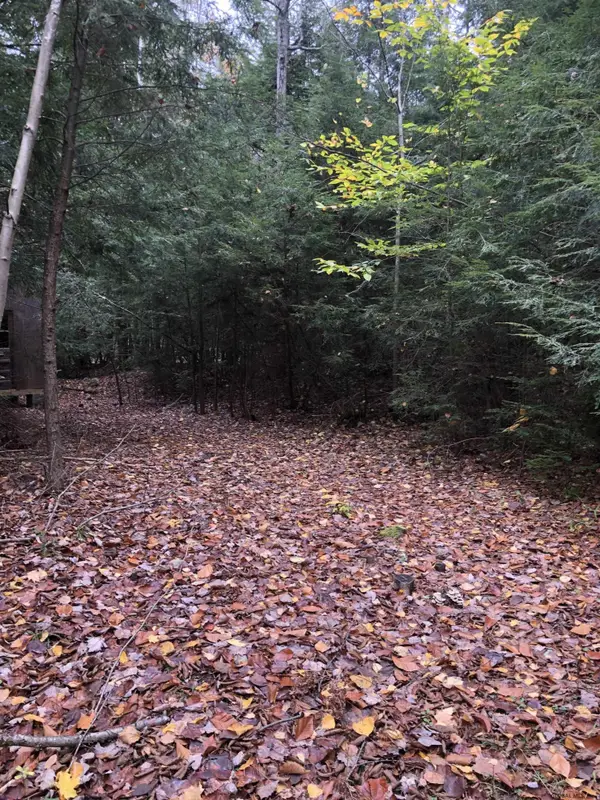 1558 Viele Pond Road, Warrensburg, NY 12885