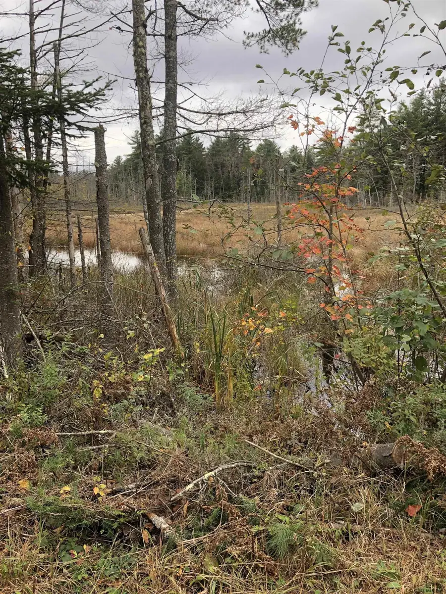 1558 Viele Pond Road, Warrensburg, NY 12885 - Image #2