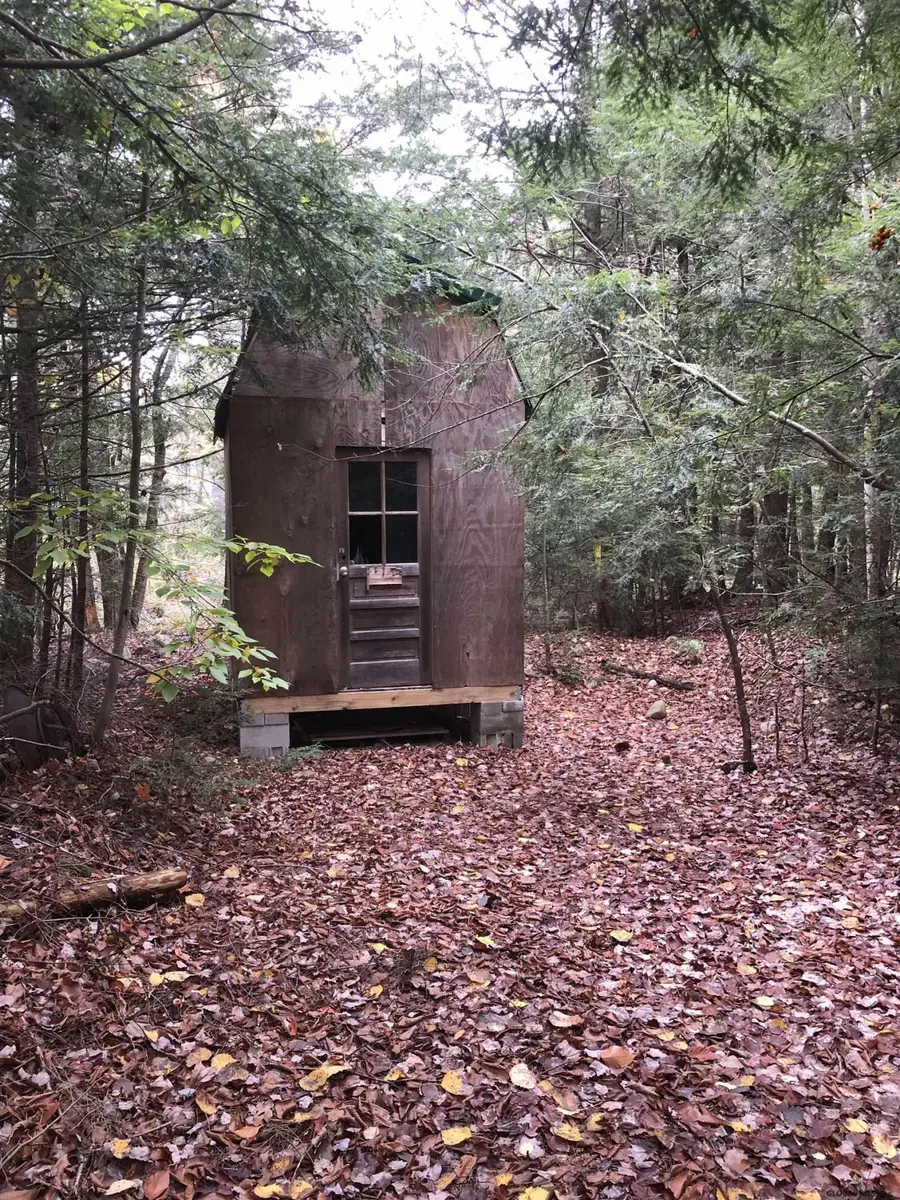 1558 Viele Pond Road, Warrensburg, NY 12885 - Image #3