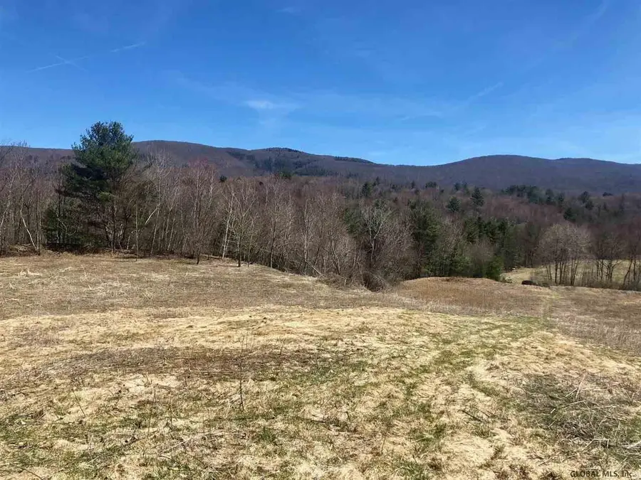 0 West Road, Stephentown, NY 12168 - #2