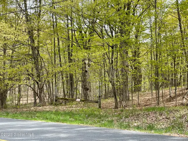 L 3.12 Edwards Road, North Greenbush, NY 12198