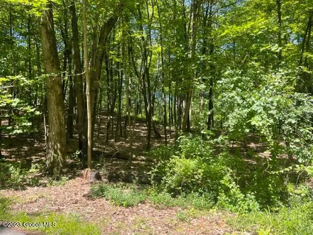 L4.1 West Road, Brunswick, NY 12180 - Image #2