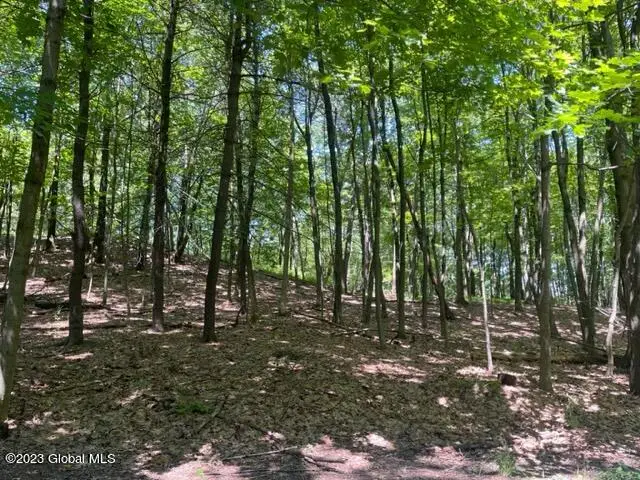 L4.1 West Road, Brunswick, NY 12180 - Image #3