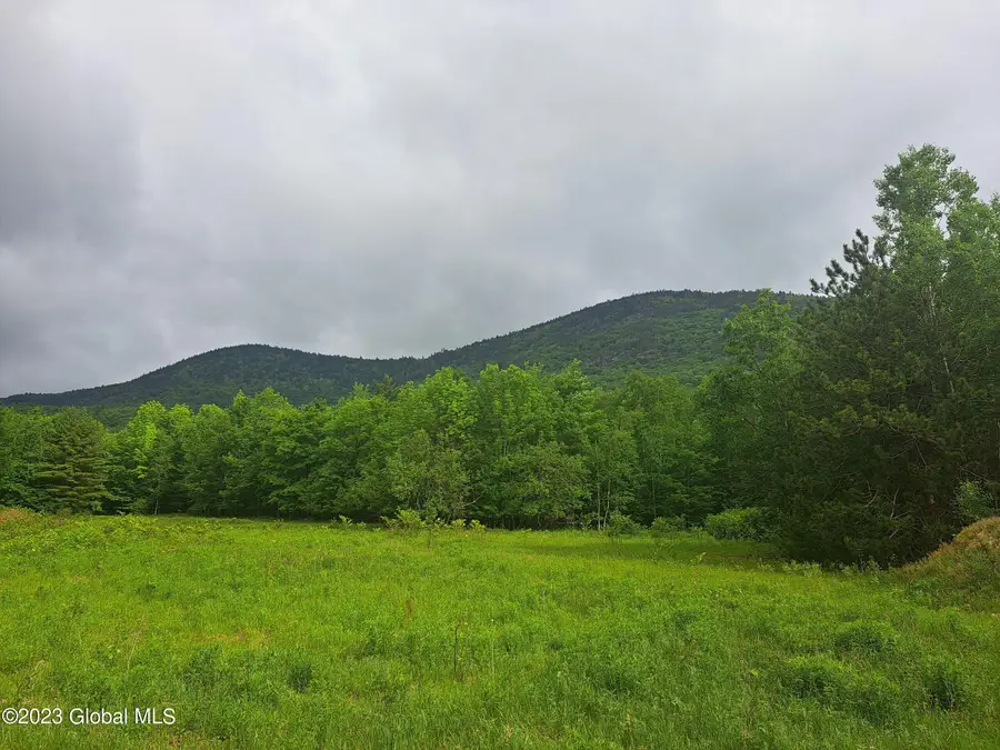 145 Little Tor Road, Black Brook, NY 12912 - Image #3