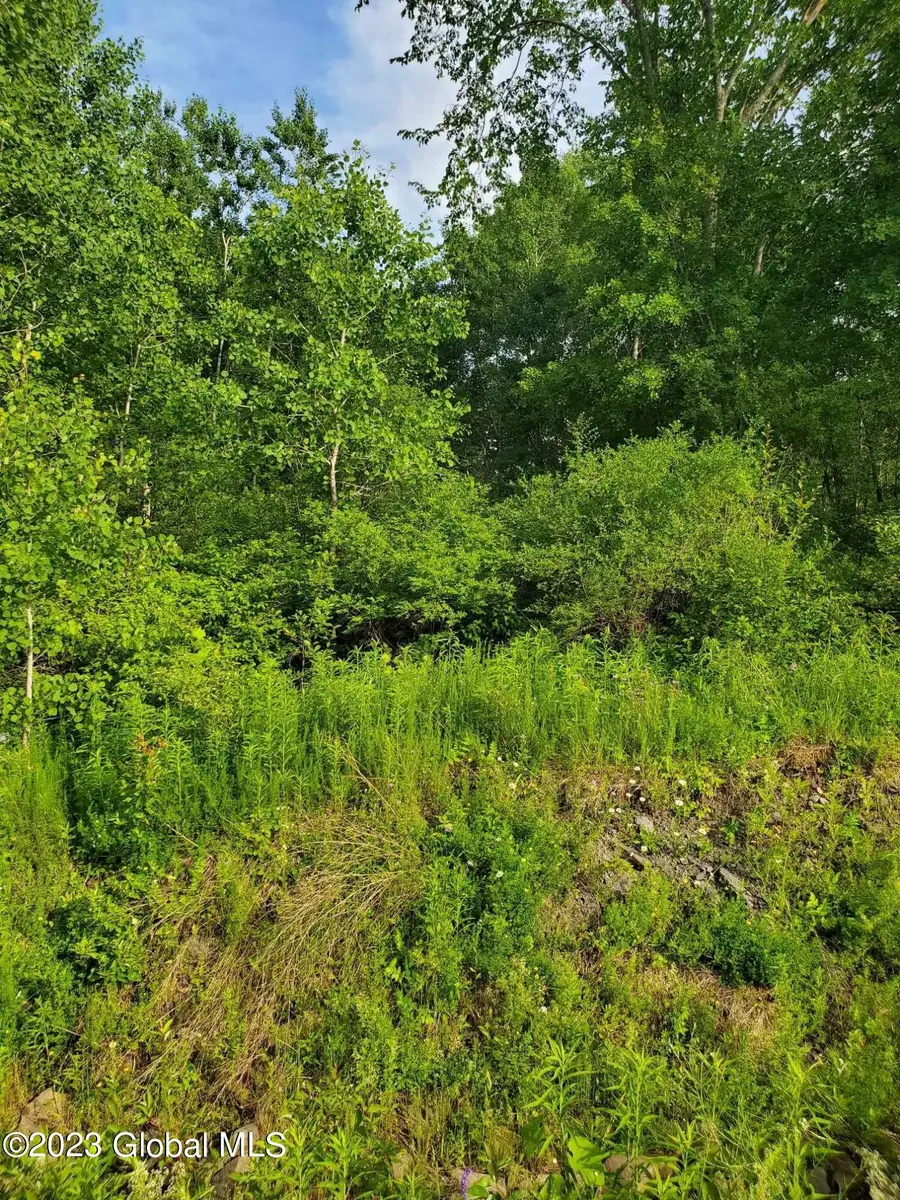 L10 Toback Road, Charleston, NY 12066 - Image #3