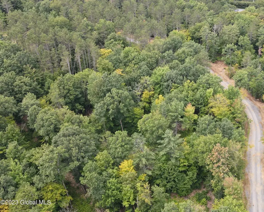 4 Adk Acres Prvt. Road #(Lot 5), Edinburg, NY 12134 - Image #2