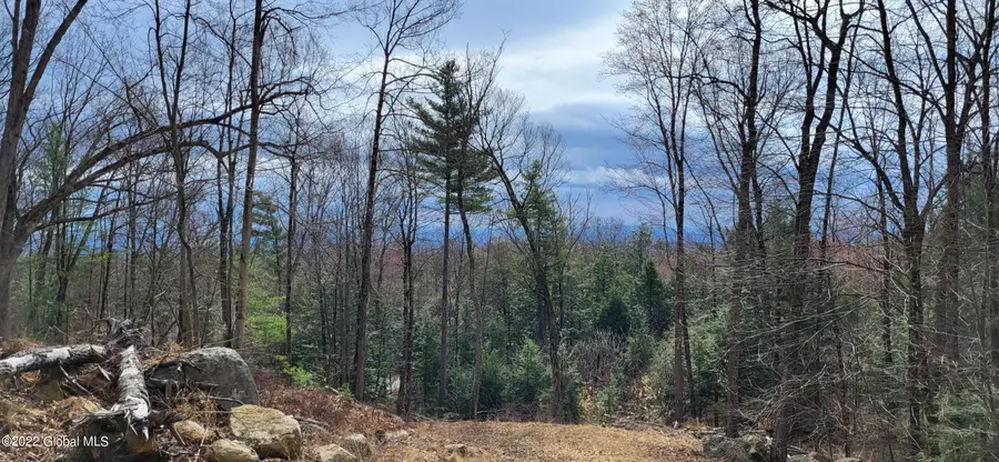 L3 Clendon Brook Road #ADIRONDACK PK, Queensbury, NY 12804 - Image #3