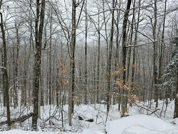 L12 Fourteenth Road, Minerva, NY 12851