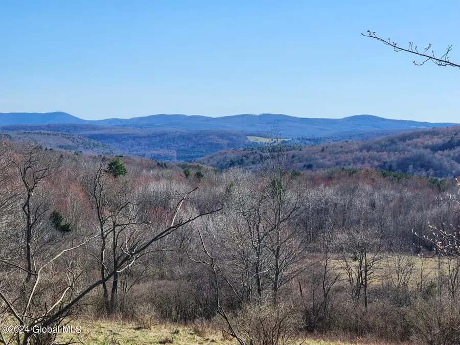 L2 Lang Road, Summit, NY 12175 - Image #3