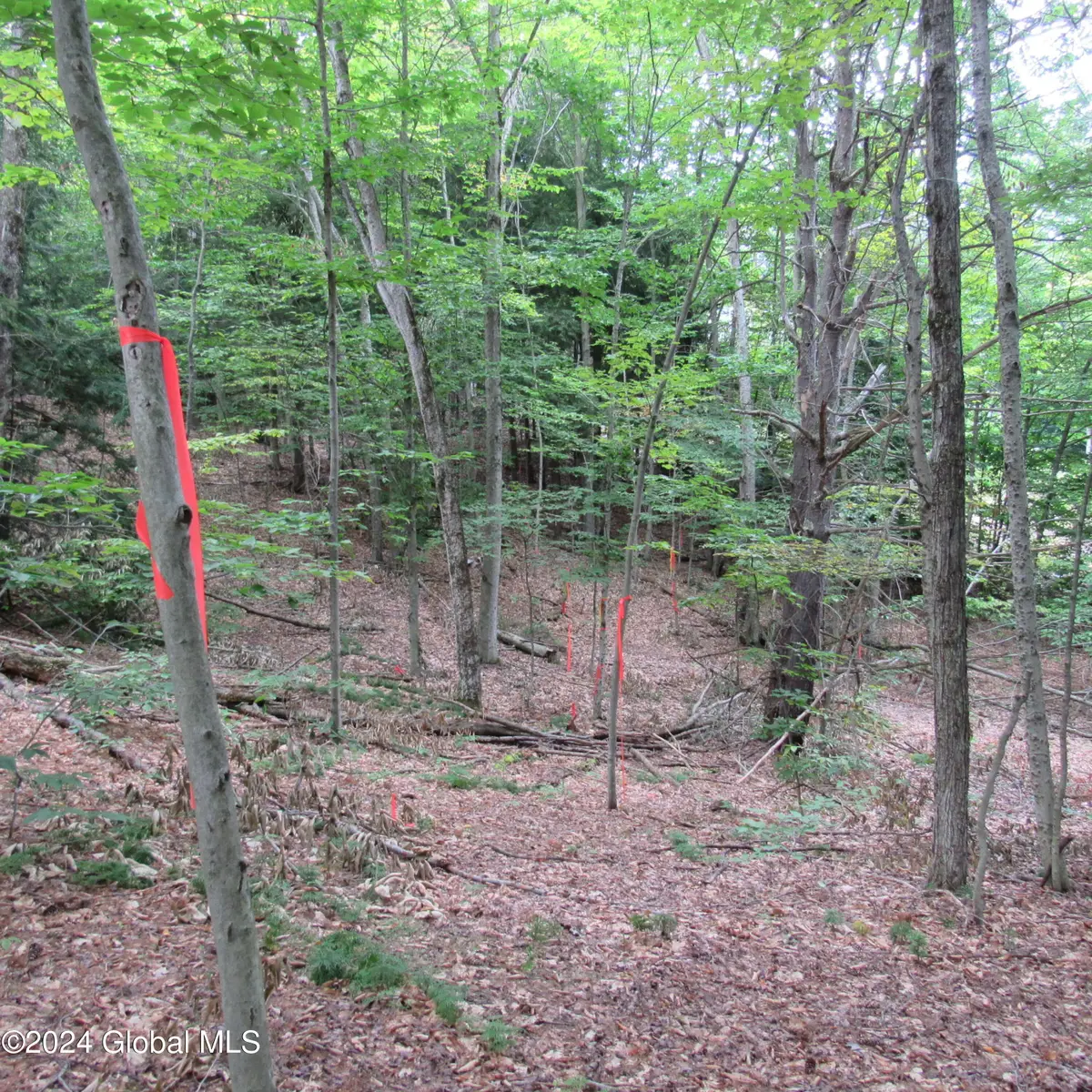 L16 Barker Road, Edinburg, NY 12134 - Image #1