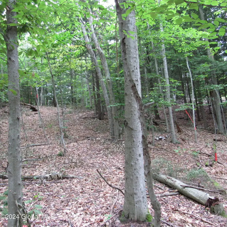 L16 Barker Road, Edinburg, NY 12134 - Image #3