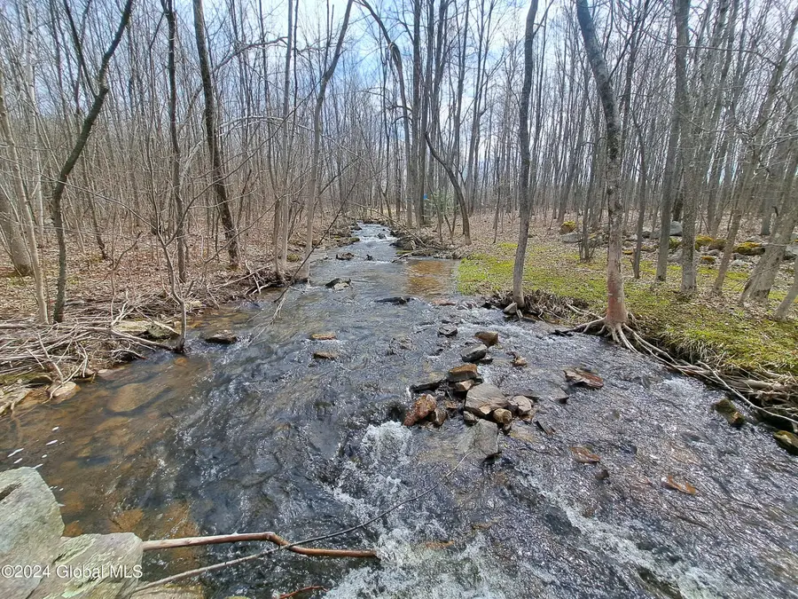 L 11.5 Military Turnpike, Altona, NY 12910 - Image #3