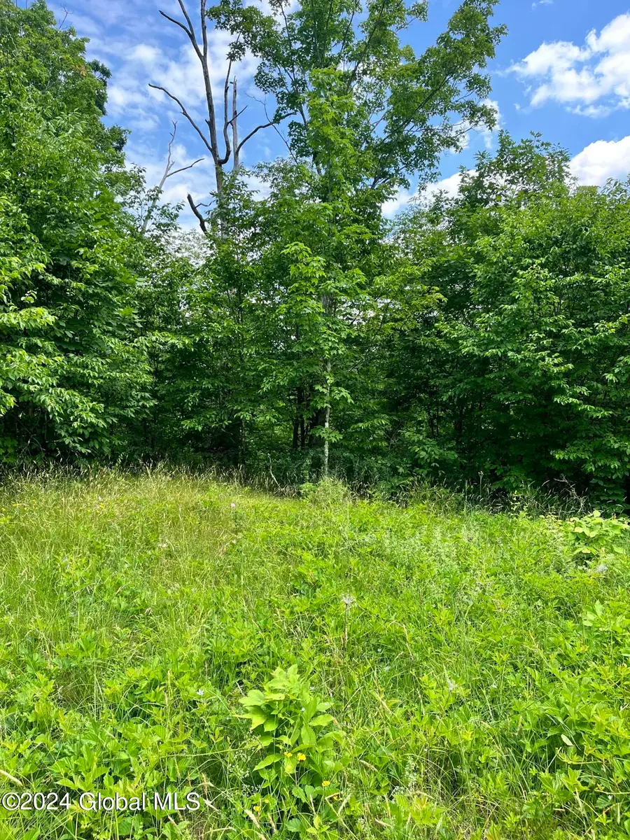 L5.126 Tae Kwon Road, Blenheim, NY 12131 - Image #3