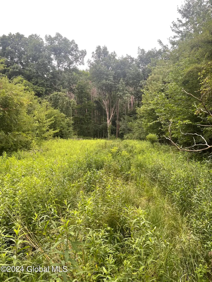 400 Pitts Road, Old Chatham, NY 12136 - Image #2