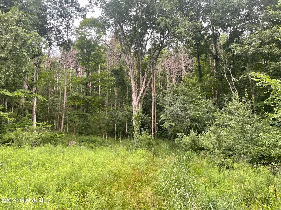 400 Pitts Road, Old Chatham, NY 12136 - Image #3