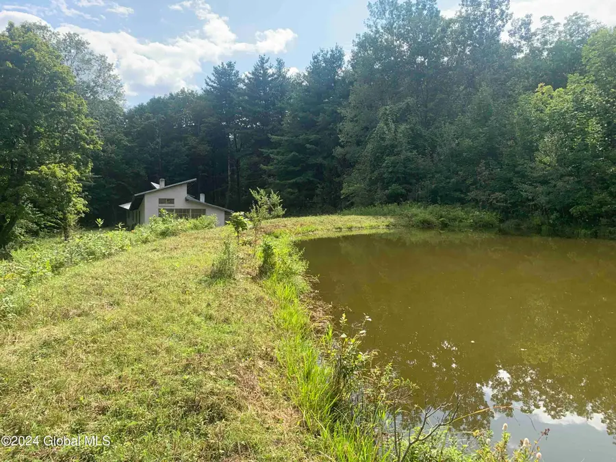 50 Frieda's Hill Lane, Rensselaerville, NY 12147 - Image #2