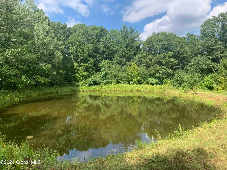 50 Frieda's Hill Lane, Rensselaerville, NY 12147 - Image #3