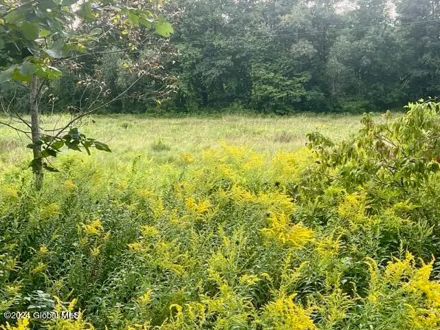 L5 West River Road, Northumberland, NY 12831 - Image #2