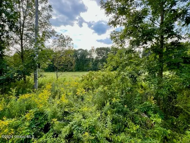 L5 West River Road, Northumberland, NY 12831 - Image #3