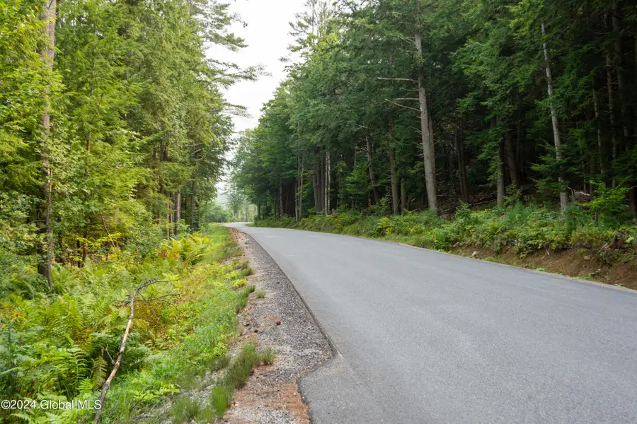 L122 Johnson Road, Adirondack, NY 12808 - Image #3
