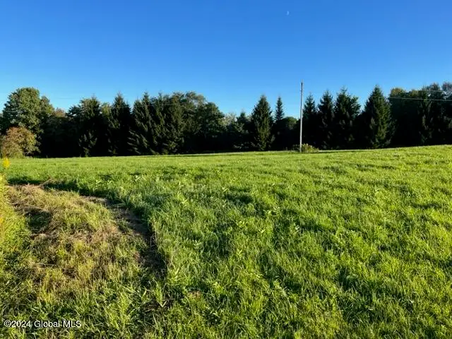 195 Ouleout Road, Pittsfield, NY 13411 - Image #2