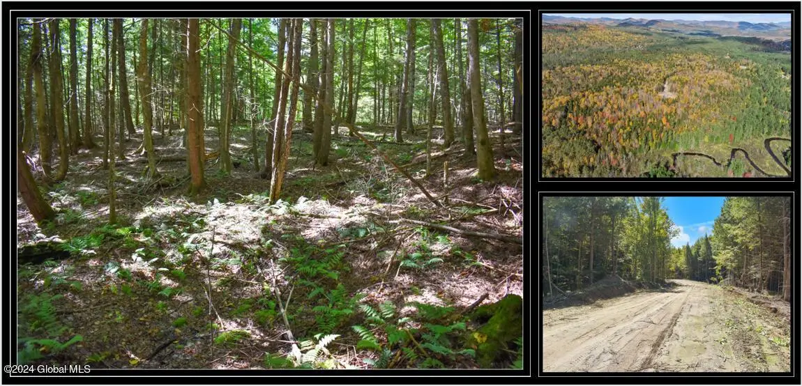 72 Carriage Knoll Road, Chester, NY 12817 - Image #1