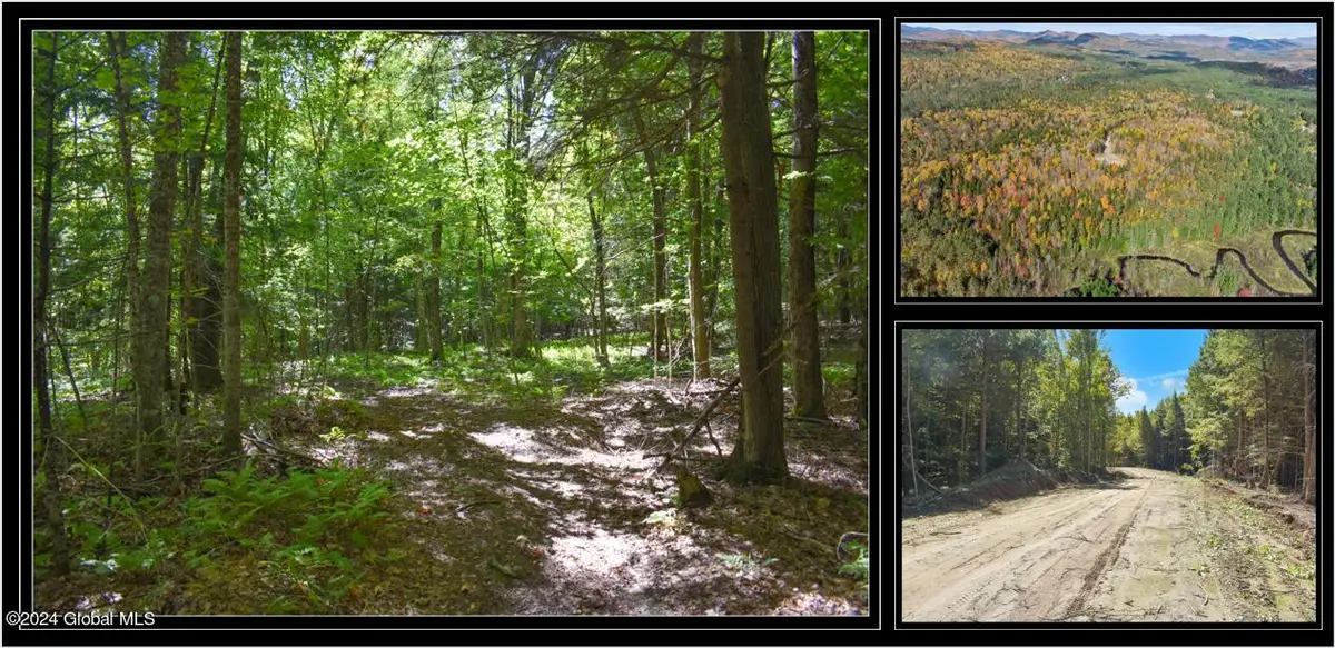 98 Carriage Knoll Road, Chester, NY 12817 - Image #1