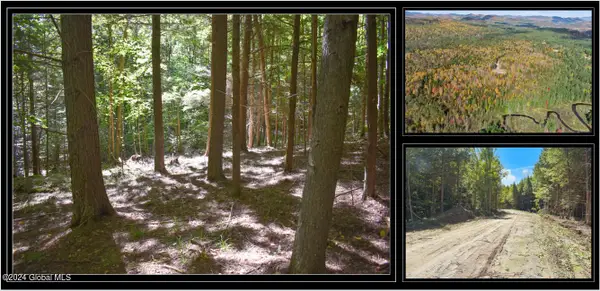 106 Carriage Knoll Road, Chester, NY 12817