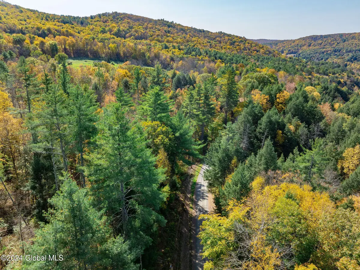 L2 Prosser Hollow Road, Petersburgh, NY 12138 - Image #1