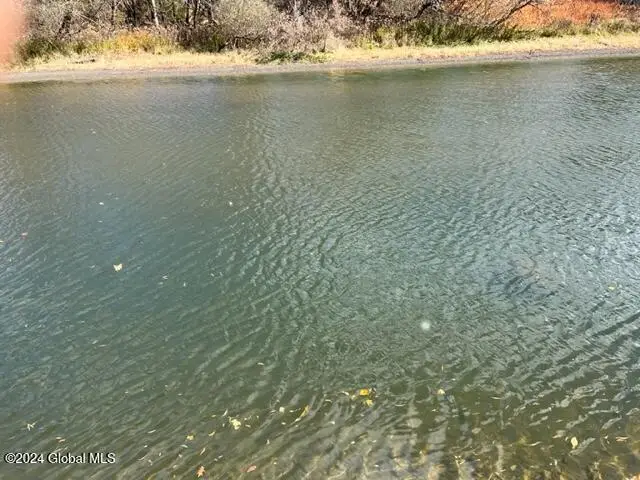 L50.1 State Highway 8, New Berlin, NY 13411 - Image #3