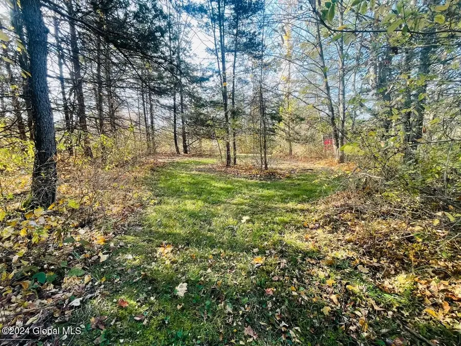 106.1-1-1. Cliffside Drive, Middleburgh, NY 12122 - Image #3