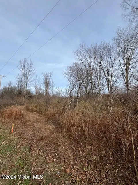 415 Gage Road, Duanesburg Town, NY 12053 - Image #2