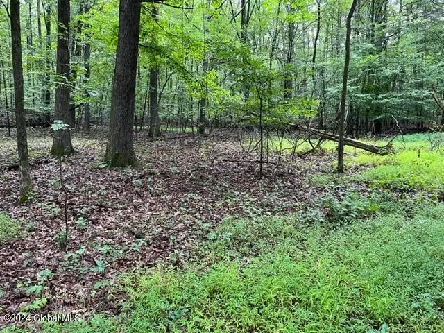 L2.2 Canniff Road, Cairo, NY 12413 - Image #2